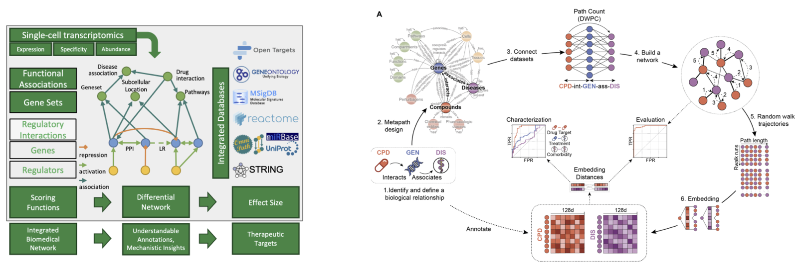 Left: single-cell transcriptomics combined with integrated databases into a biomedical network that yields therapeutic targets. Right: a pipeline from metapath design and dataset connection to network building, random-walk trajectories and embeddings.
